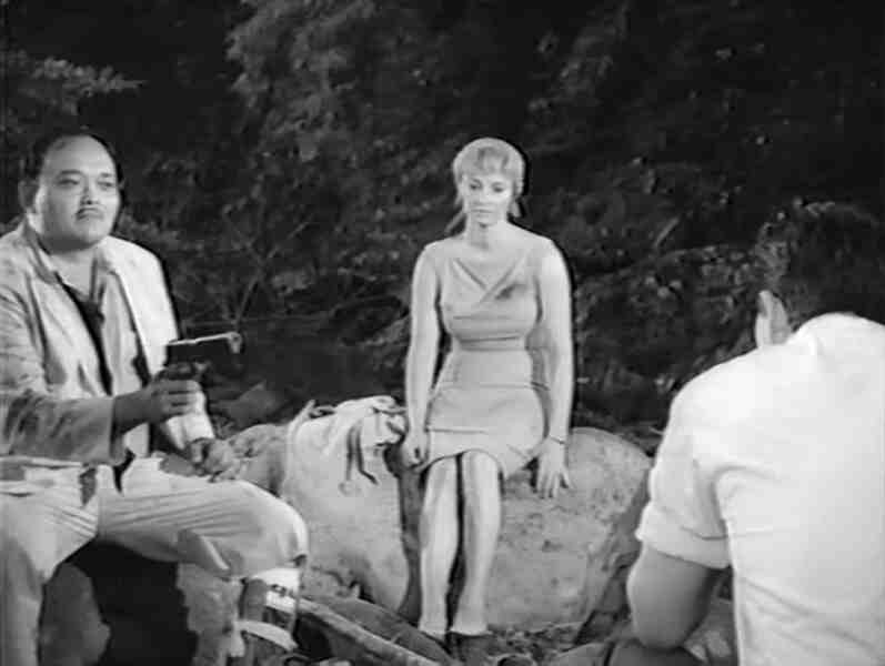 Flight to Fury (1964) Screenshot 2