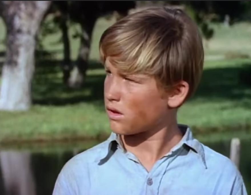 Follow Me, Boys! (1966) Screenshot 5