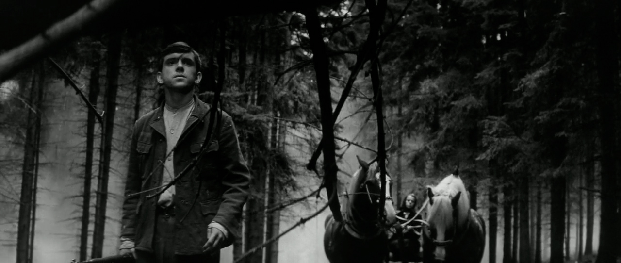 Carriage to Vienna (1966) Screenshot 3