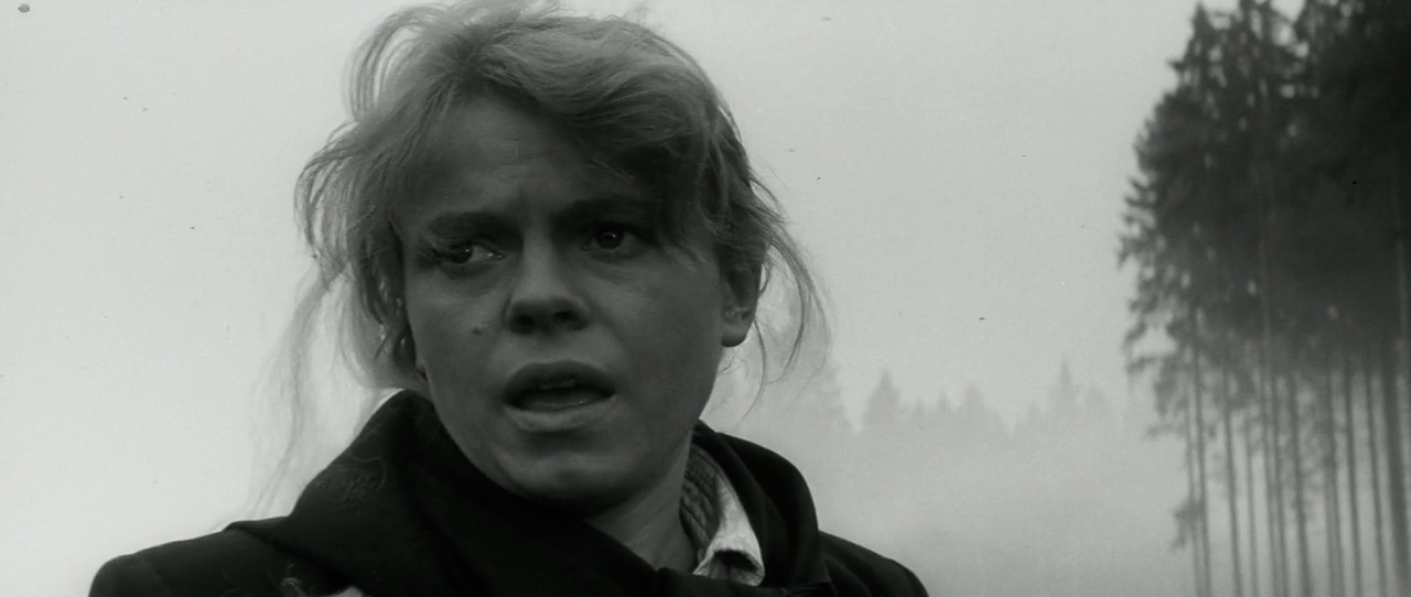 Carriage to Vienna (1966) Screenshot 5