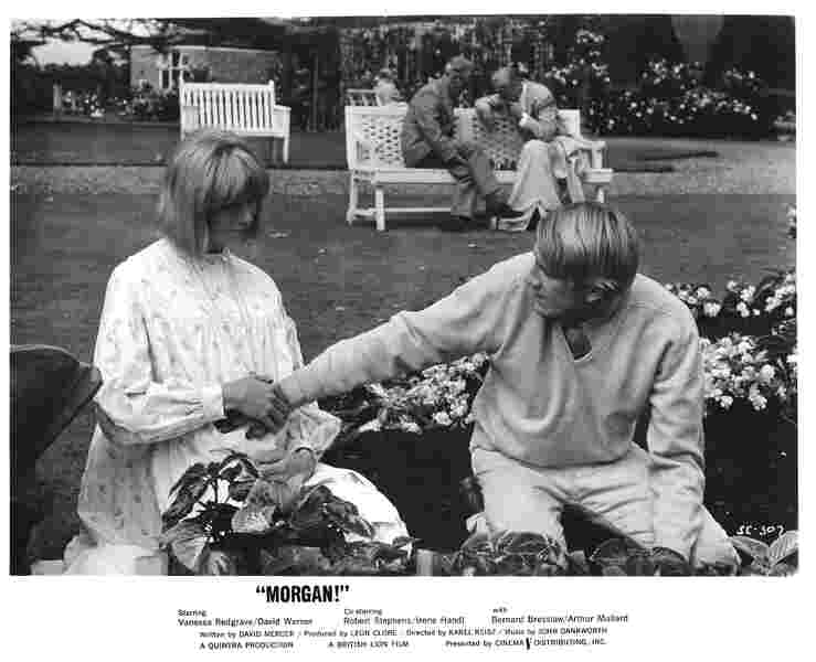 Morgan! (1966) Screenshot 2