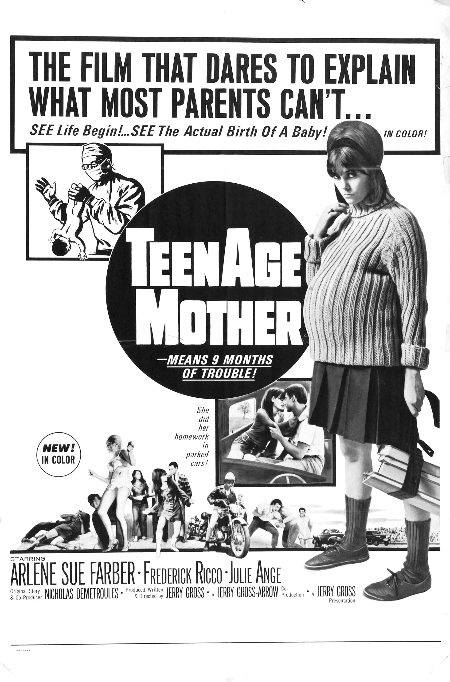 Teenage Mother (1967) starring Arlene Farber on DVD on DVD