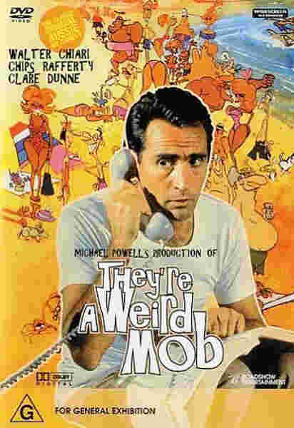 They're a Weird Mob (1966) Screenshot 5