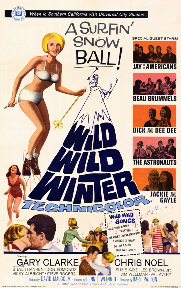Wild Wild Winter (1966) starring Gary Clarke on DVD on DVD
