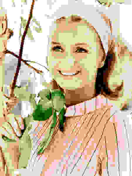 Divorce American Style (1967) Screenshot 5
