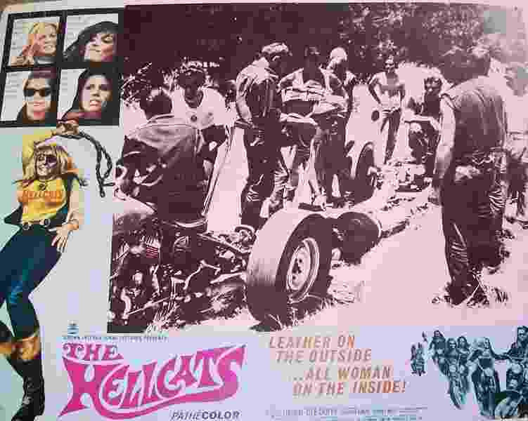 The Hellcats (1968) Screenshot 3