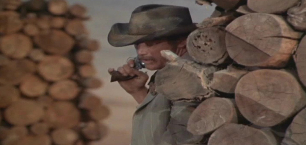 Stranger on the Run (1967) Screenshot 5