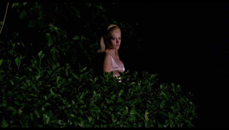 A Taste of Blood (1967) Screenshot 5