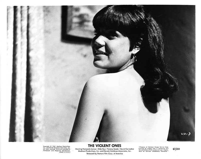 The Violent Ones (1967) Screenshot 1