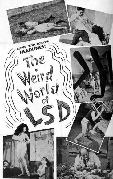 The Weird World of LSD (1967) Screenshot 2