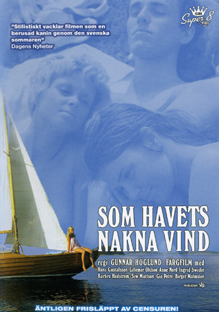 One Swedish Summer (1968) Screenshot 4