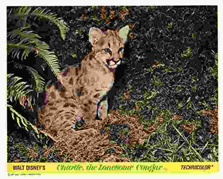 Charlie, the Lonesome Cougar (1967) Screenshot 1