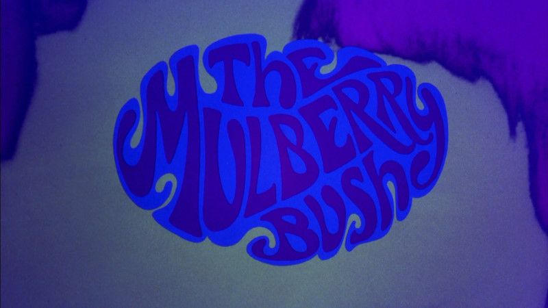 Here We Go Round the Mulberry Bush (1968) Screenshot 5
