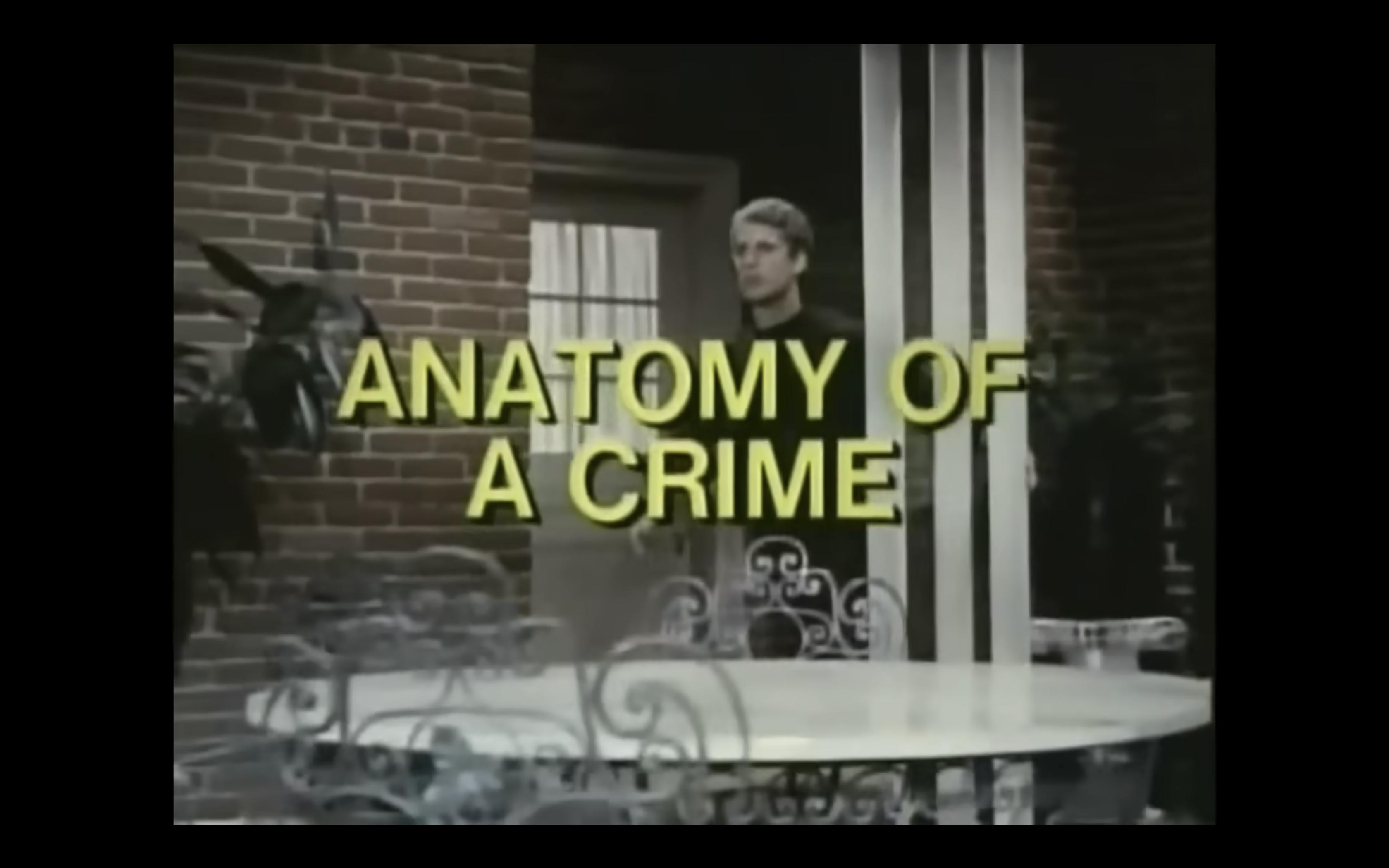 Anatomy of a Crime (1969) Screenshot 2