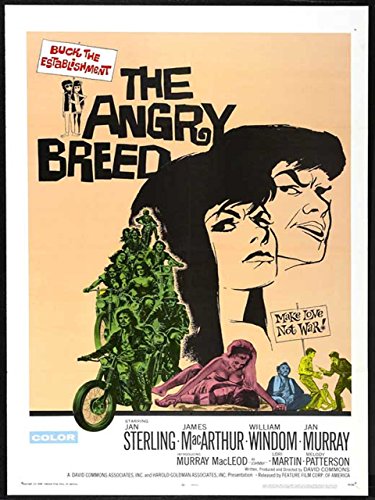 The Angry Breed (1968) Screenshot 1 