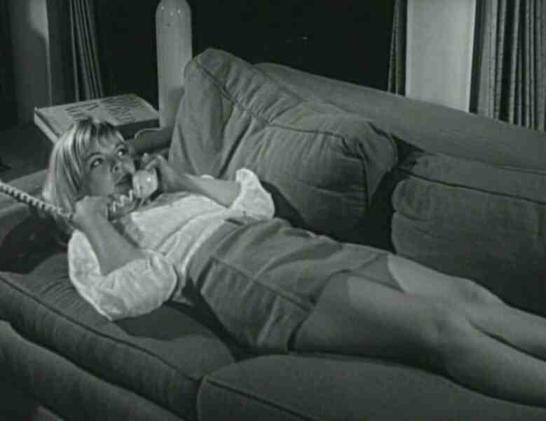 The Babysitter (1969) Screenshot 2