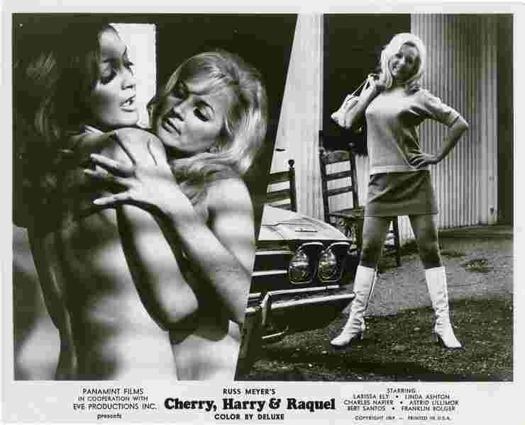 Cherry, Harry & Raquel! (1969) Screenshot 4