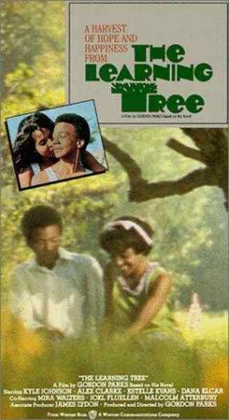 The Learning Tree (1969) Screenshot 2