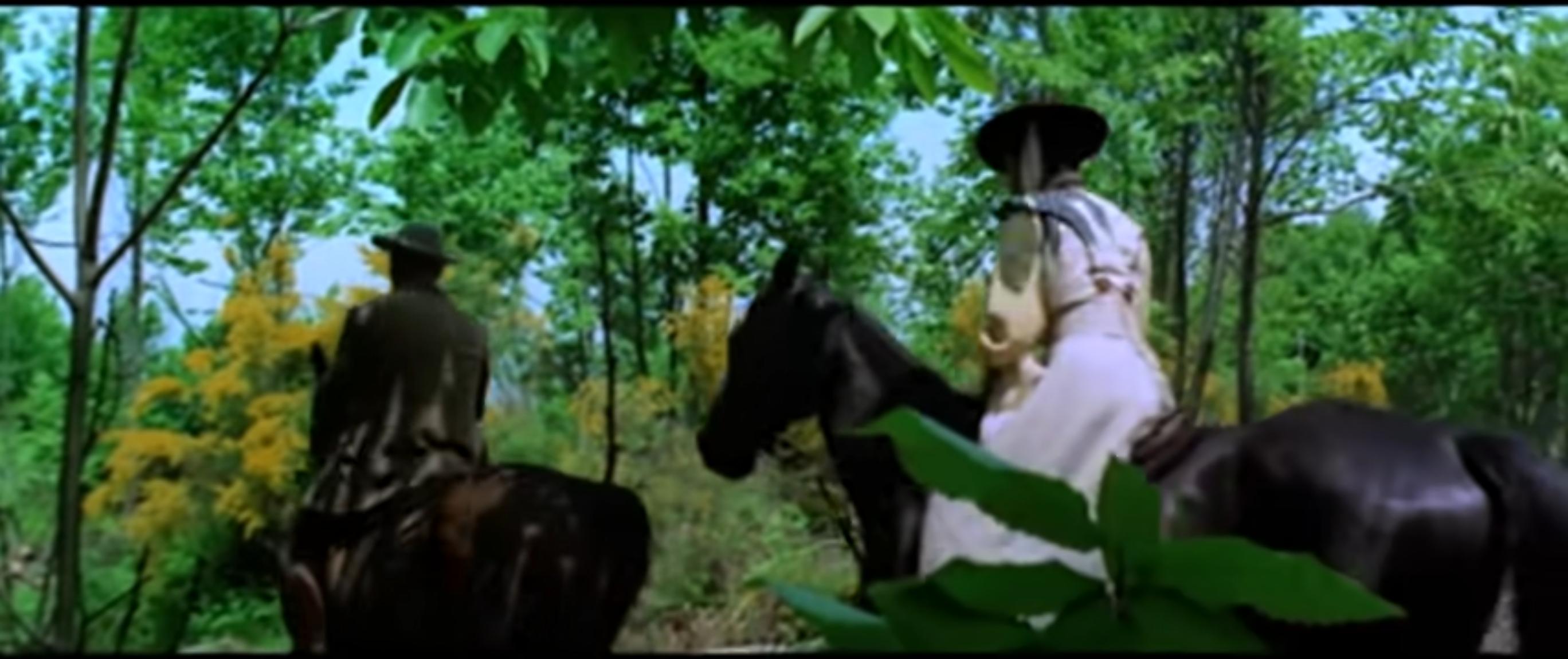 Die nackte Bovary (1969) Screenshot 2 