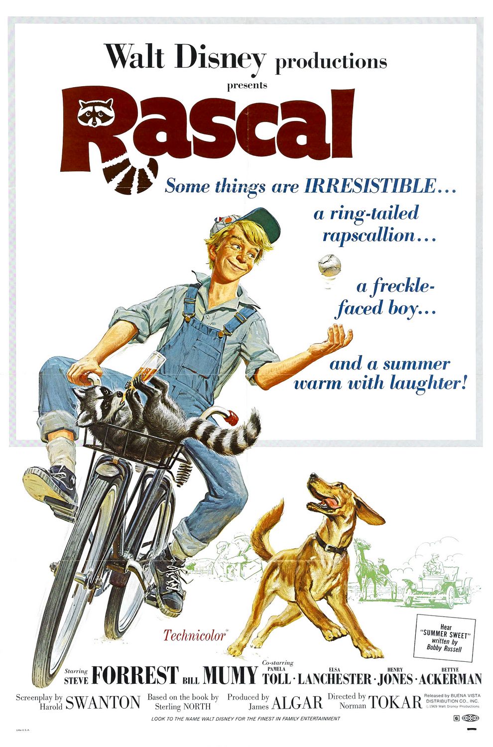 Rascal (1969) starring Steve Forrest on DVD on DVD