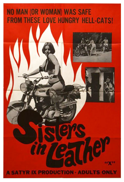 Sisters in Leather (1969) Screenshot 3 