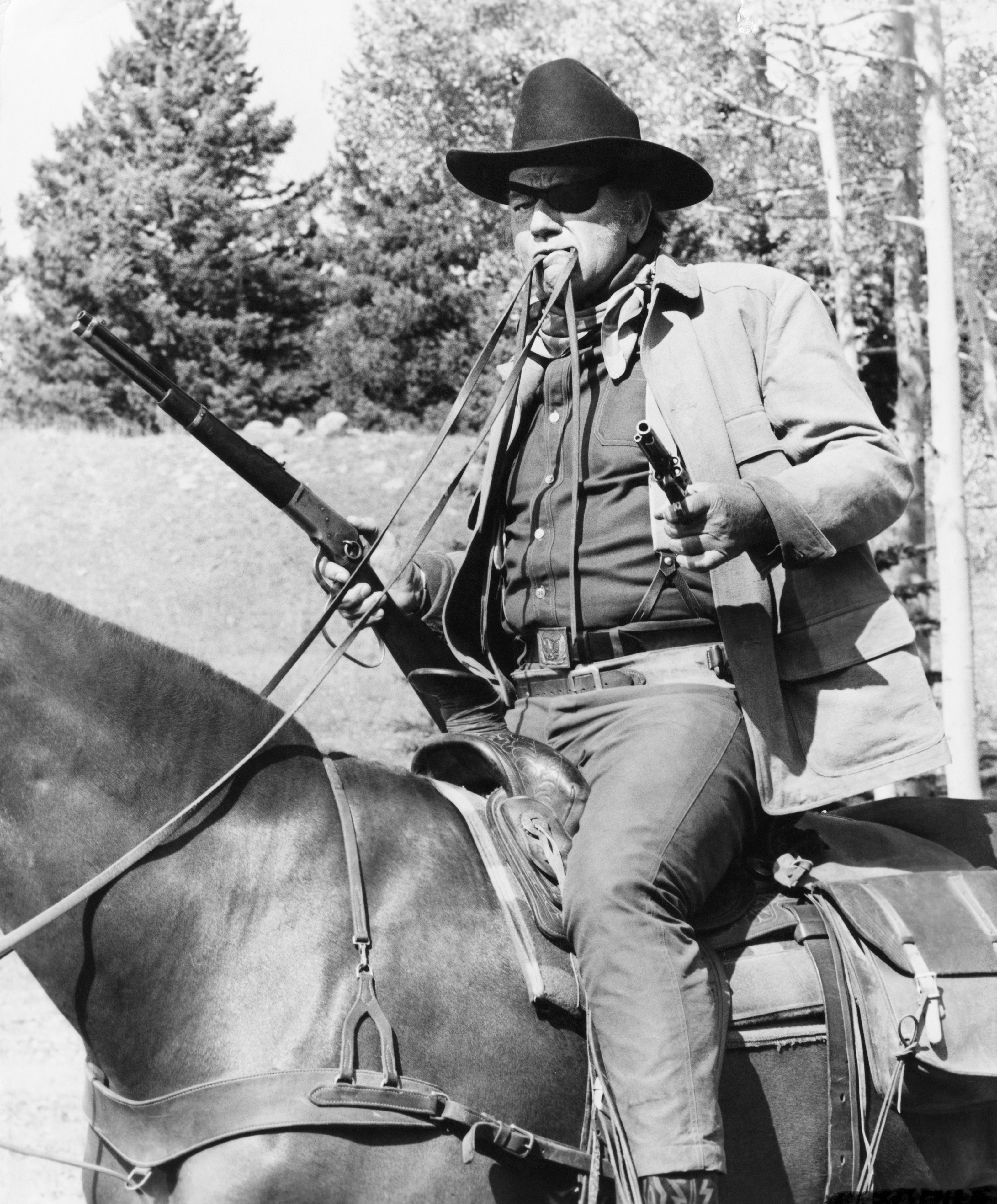 True Grit (1969) Screenshot 1