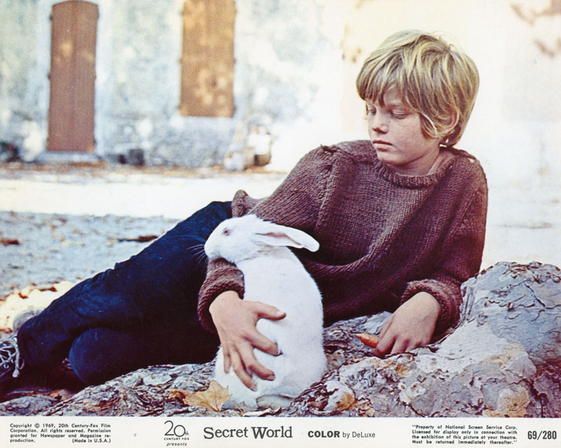 Secret World (1969) Screenshot 2