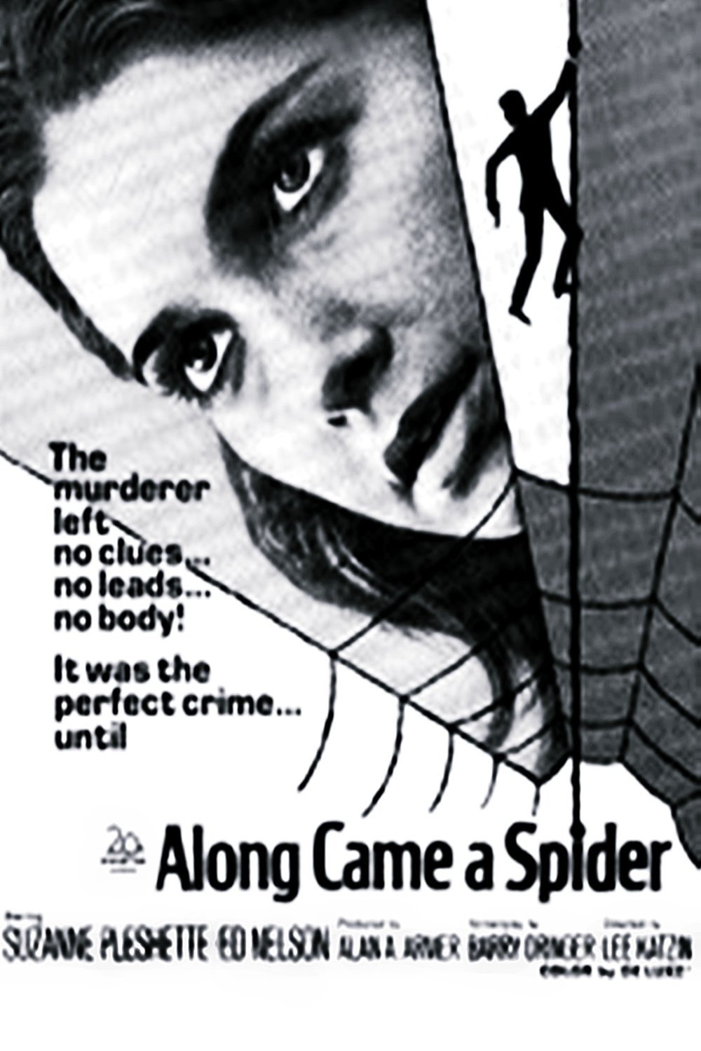 Along Came a Spider (1970) starring Suzanne Pleshette on DVD on DVD