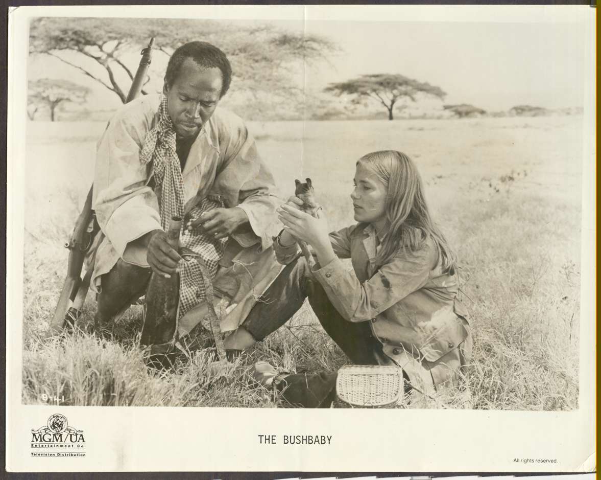The Bushbaby (1969) Screenshot 5