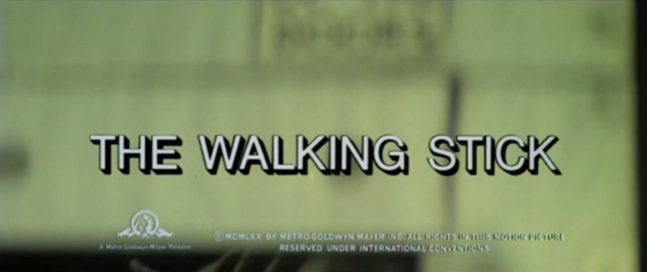 The Walking Stick (1970) Screenshot 2