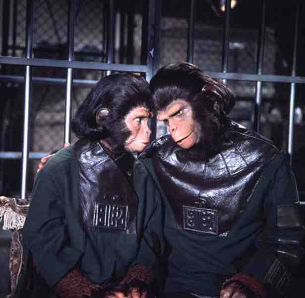 Escape from the Planet of the Apes (1971) Screenshot 1
