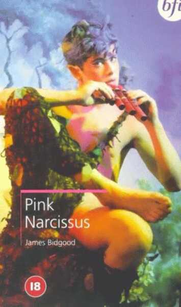 Pink Narcissus (1971) Screenshot 2