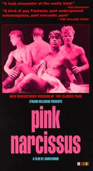 Pink Narcissus (1971) Screenshot 3