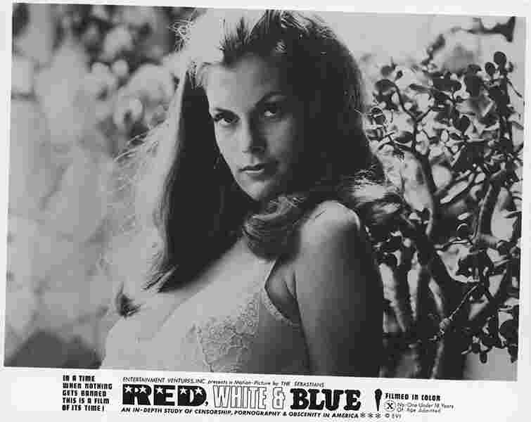 Red, White and Blue (1971) Screenshot 1