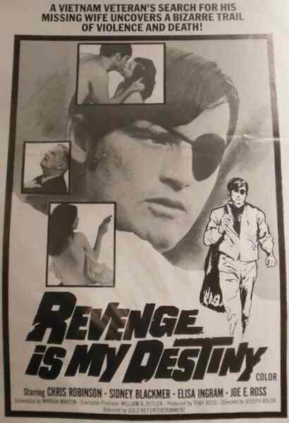 Revenge Is My Destiny (1971) Screenshot 1