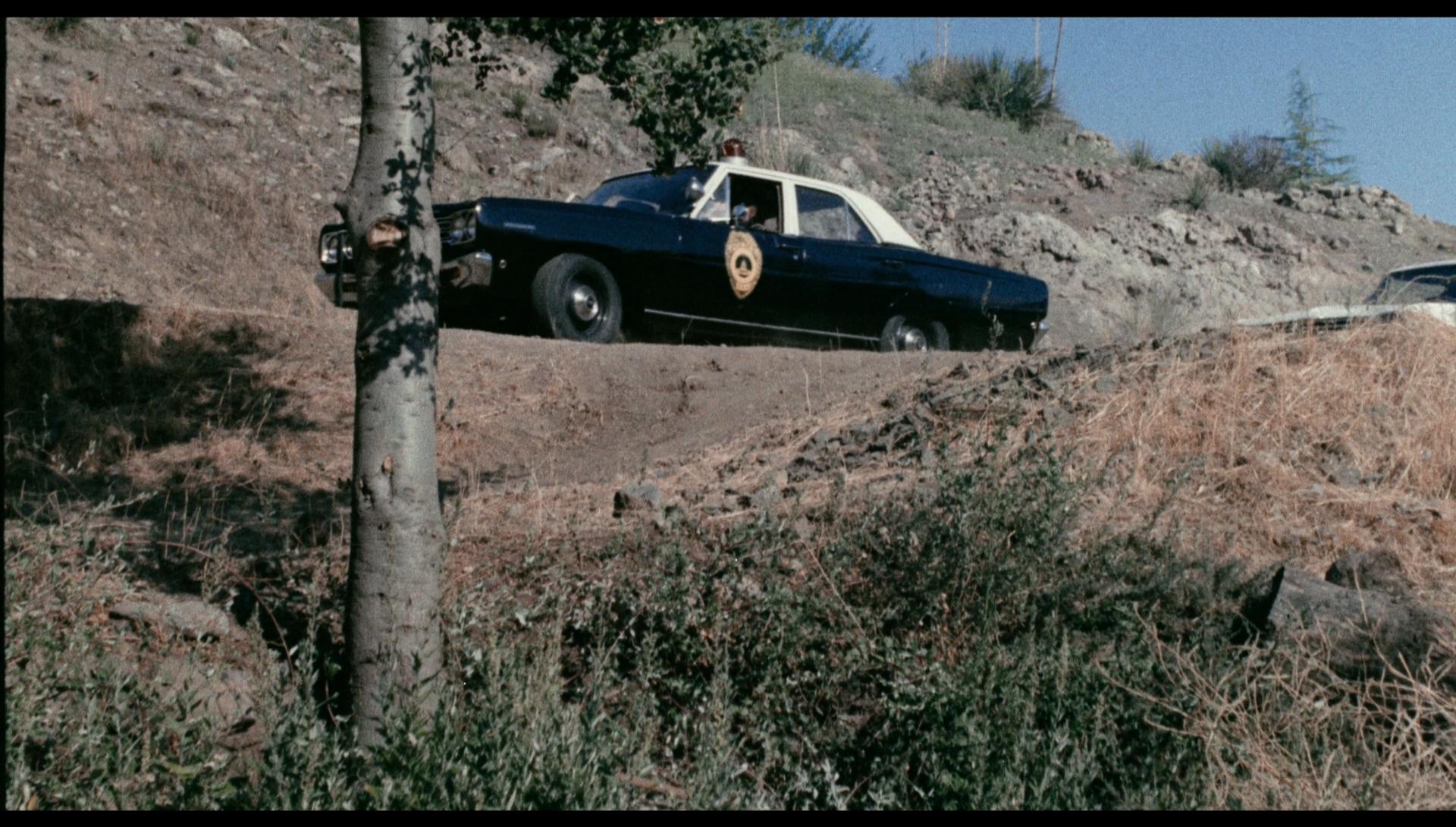 Schlock (1973) Screenshot 3
