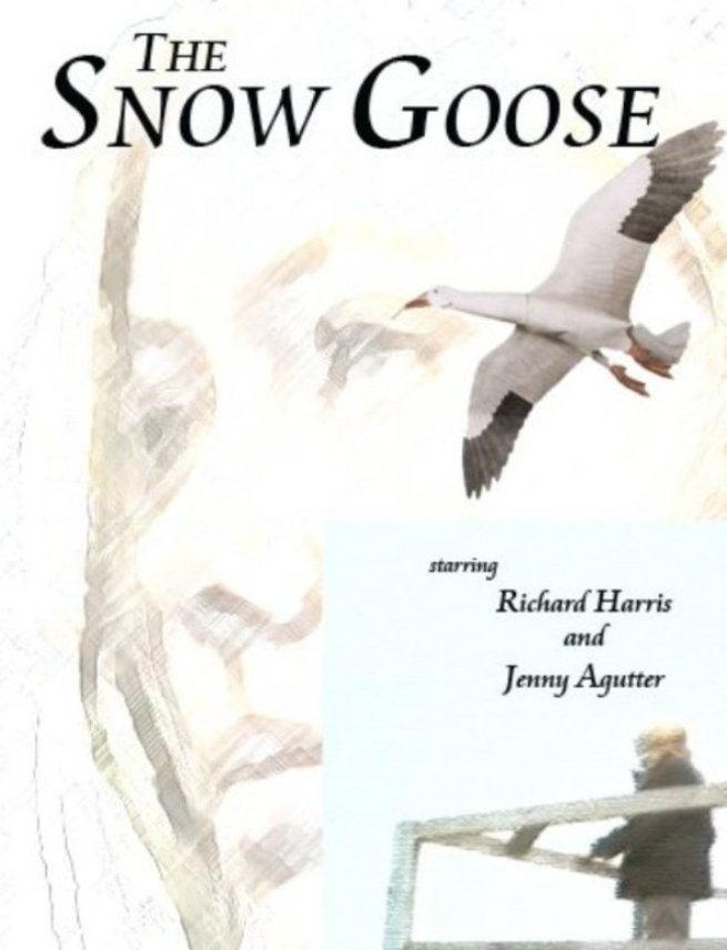 The Snow Goose (1971) Screenshot 1 