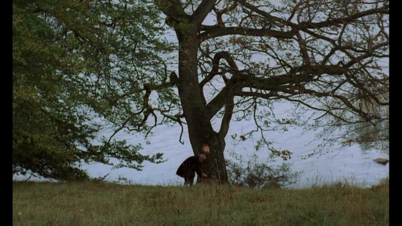 The Emigrants (1971) Screenshot 4