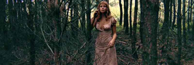 The Legend of Spider Forest (1971) Screenshot 2