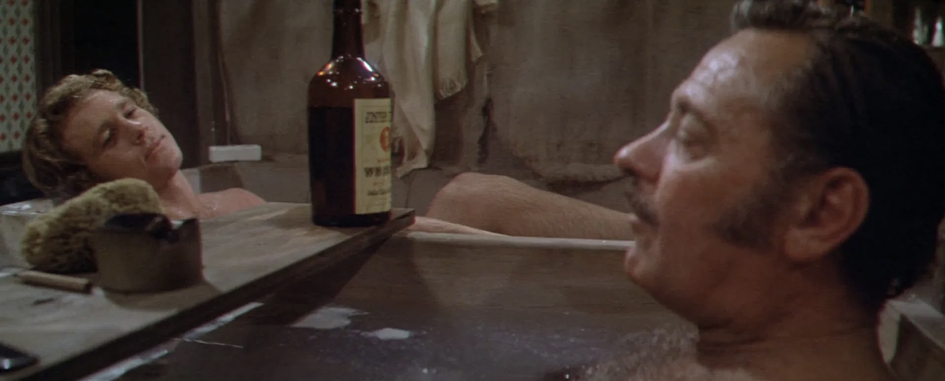 Wild Rovers (1971) Screenshot 1 