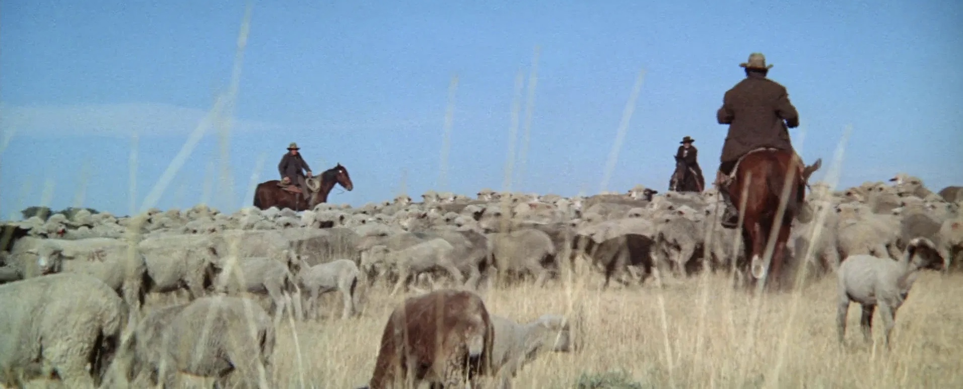 Wild Rovers (1971) Screenshot 3 