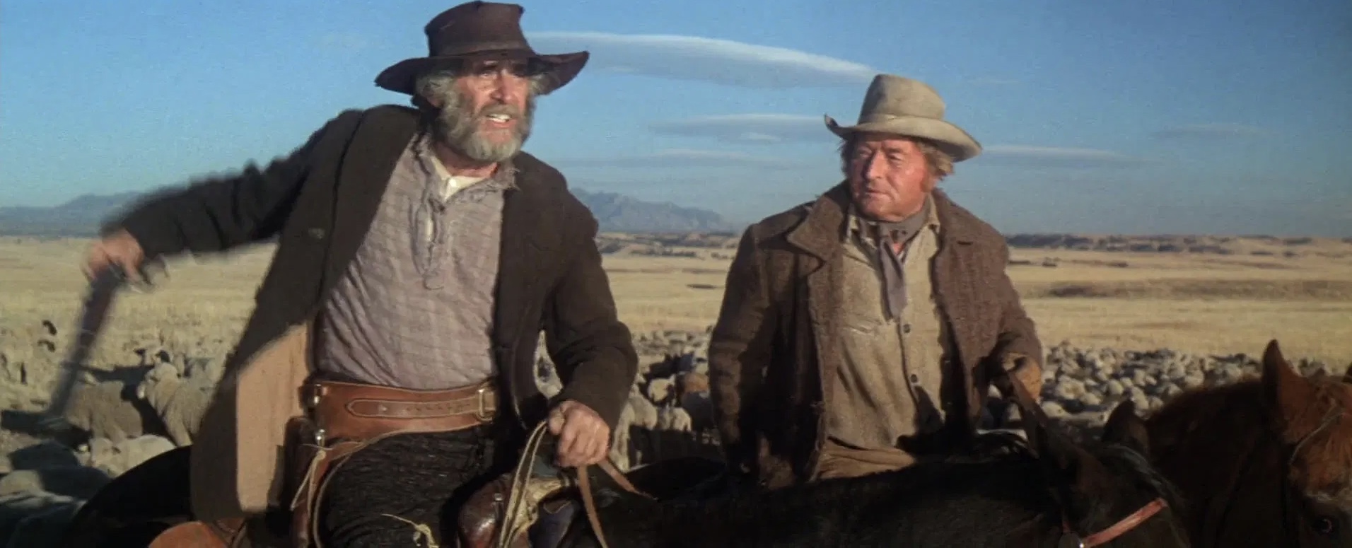 Wild Rovers (1971) Screenshot 4 