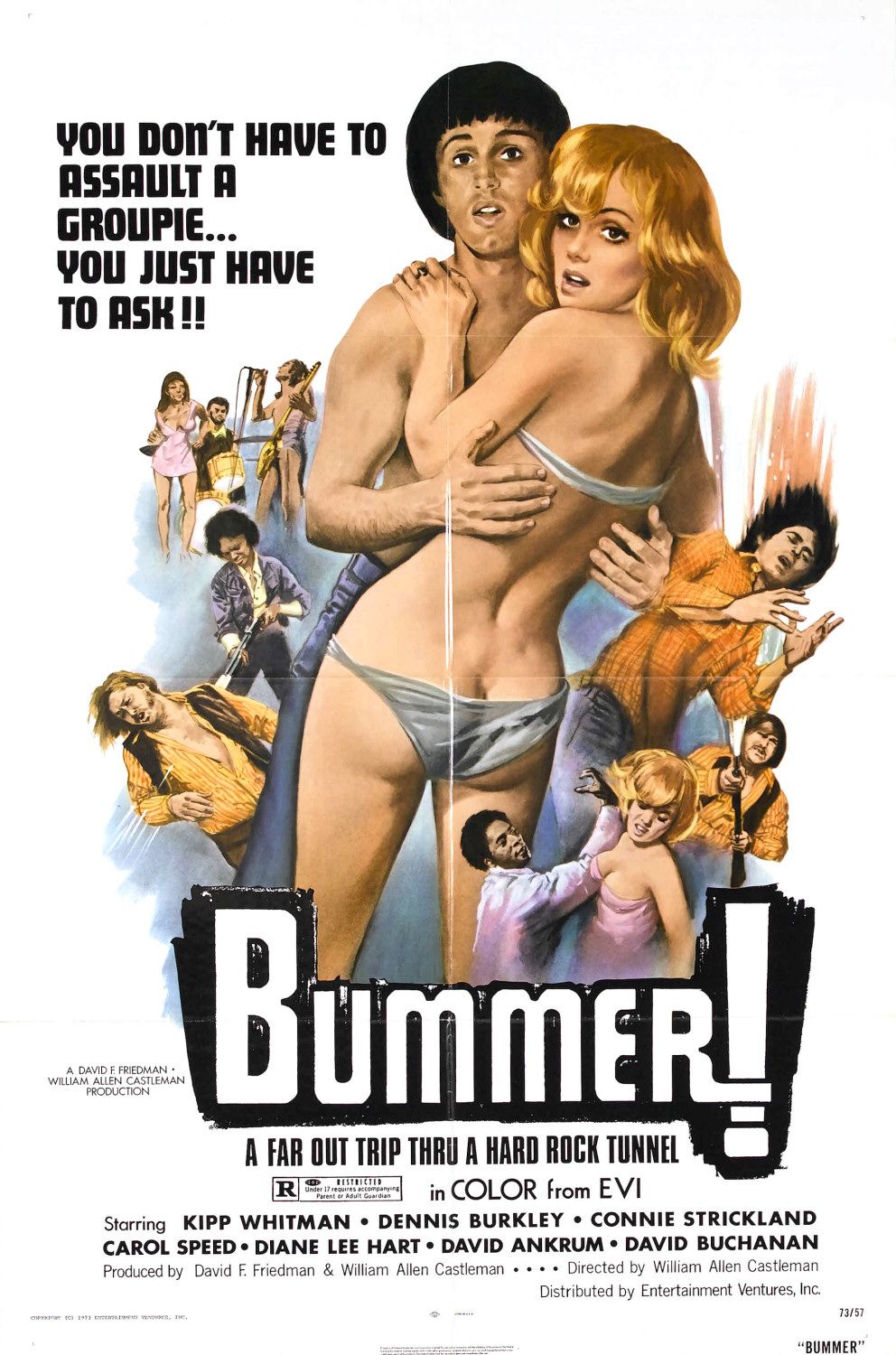 Bummer (1973) starring Kipp Whitman on DVD on DVD