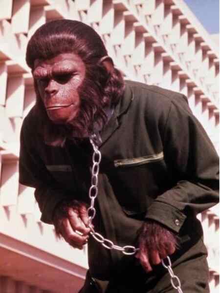 Conquest of the Planet of the Apes (1972) Screenshot 3