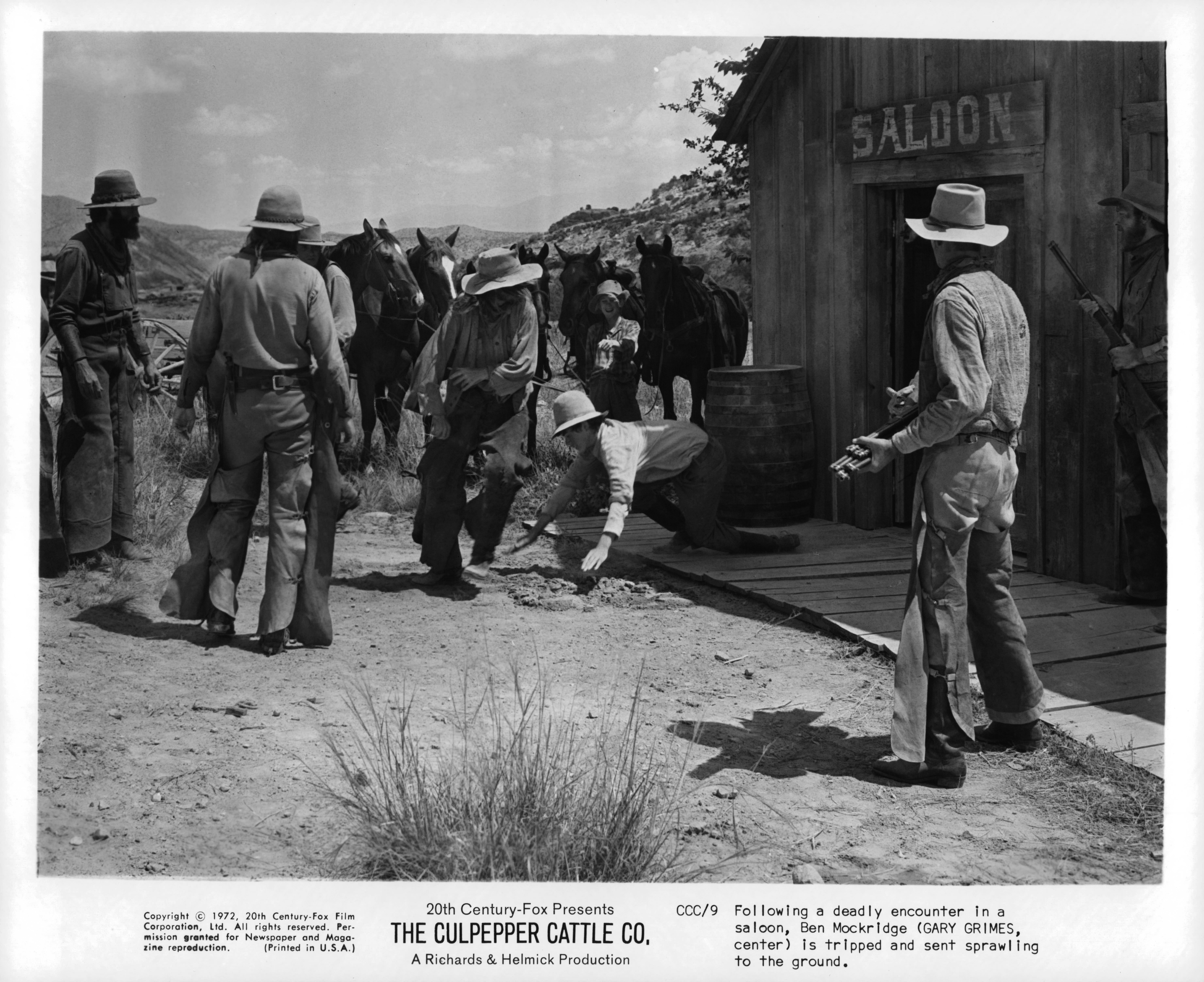 The Culpepper Cattle Co. (1972) Screenshot 2 