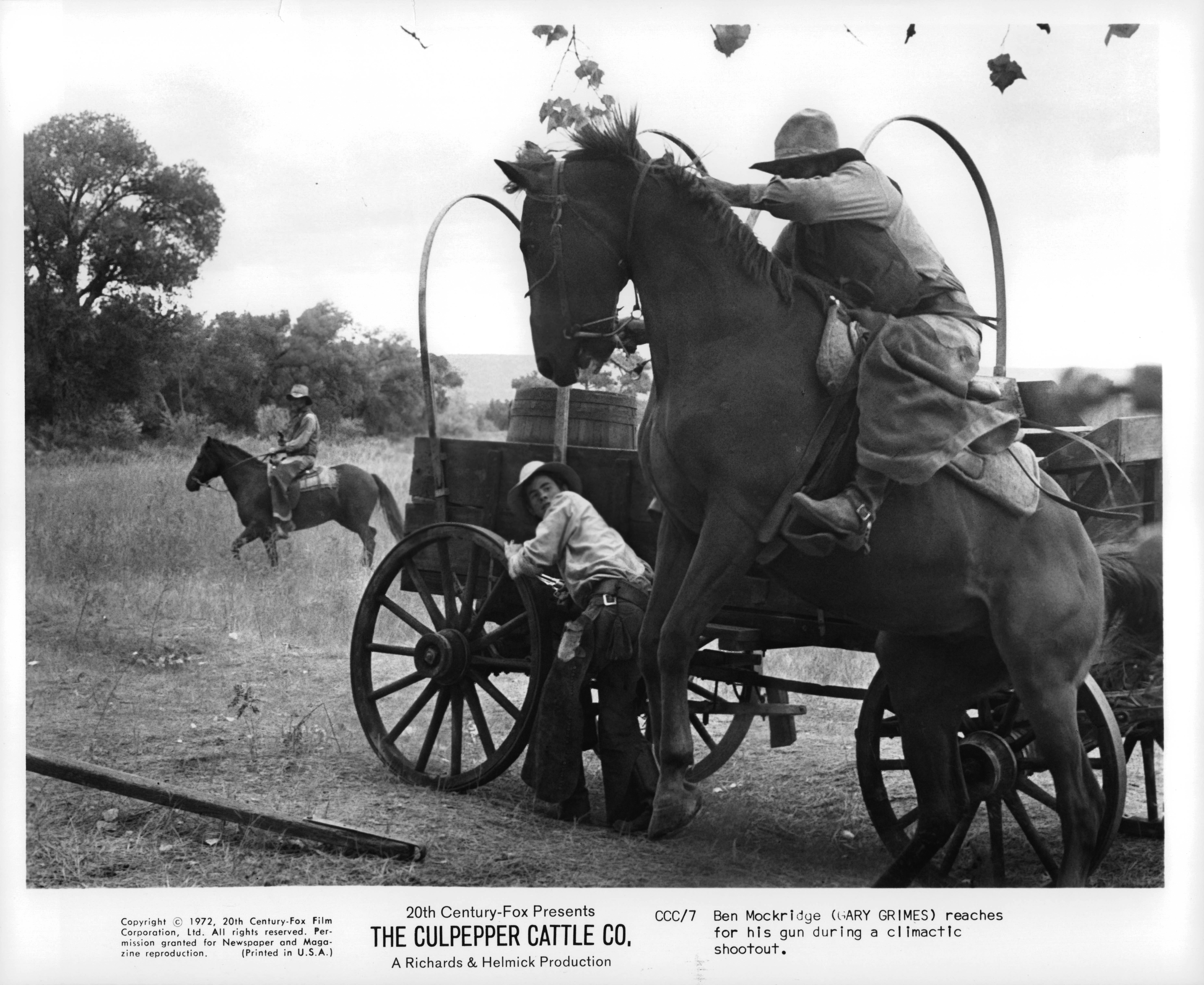 The Culpepper Cattle Co. (1972) Screenshot 4 