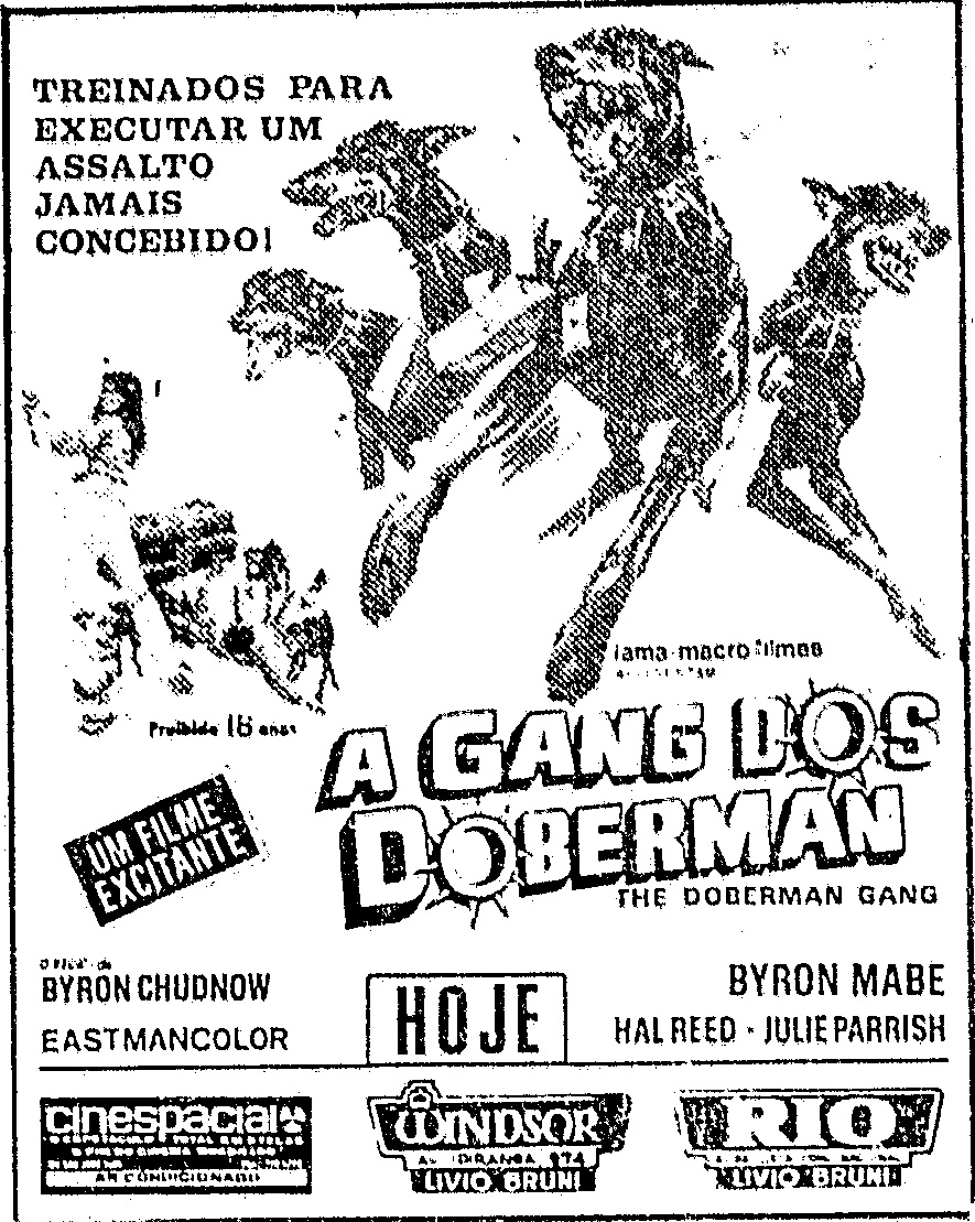 The Doberman Gang (1972) Screenshot 4 