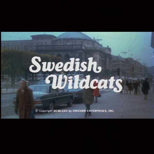 Swedish Wildcats (1972) Screenshot 3