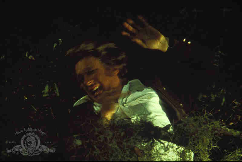 Frogs (1972) Screenshot 3