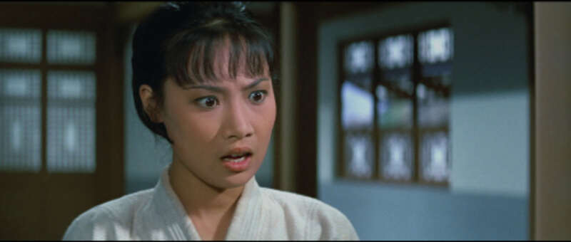 Hapkido (1972) Screenshot 3